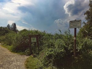 wackelwald-und-federsee-in-bad-buchau-copyright-hund-im-gepaeck-5