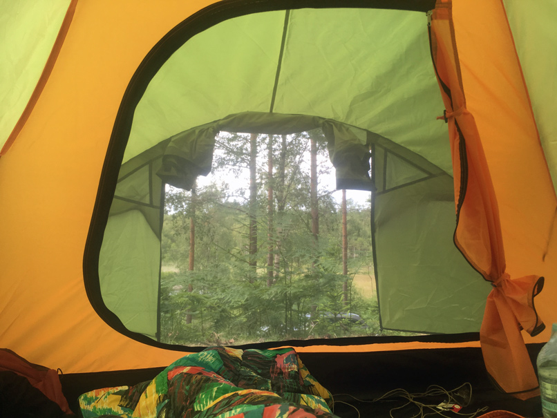Unsere Aussicht aus dem Zelt in den wald vom Hätteboda Vildmarkscamping