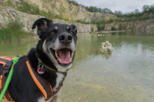 Mein Hund Alex vor dem See Lom Janičův vrch im Kalksteinbruch