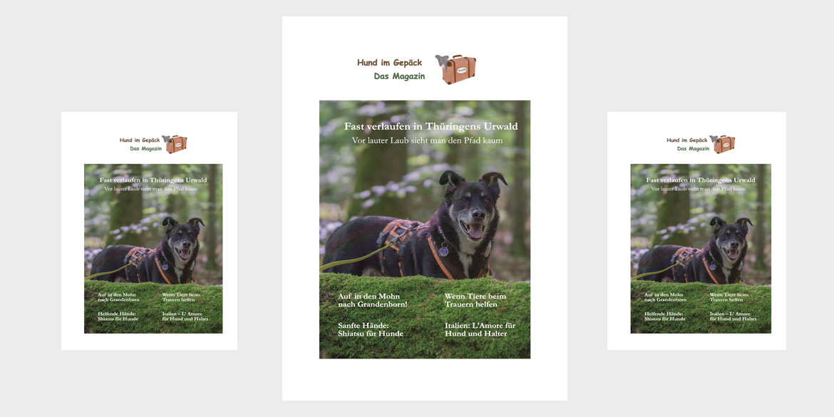 Die erste Hauptausgabe von „Hund im Gepäck – das Magazin“