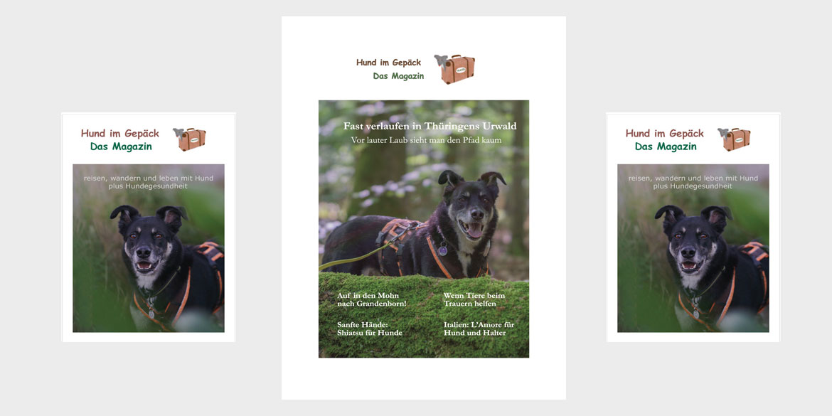 Hund im Gepäck – das Magazin
